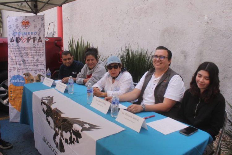 Se enciende la esperanza con GHAPAD al convocar apoyo para alimentar 2 mil 500 peludos en esta Navidad y Año Nuevo