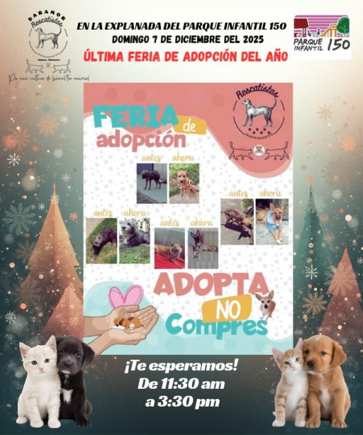 Este domingo, rescatistas independientes ofrecerán feria de adopción y servicios veterinarios accesibles