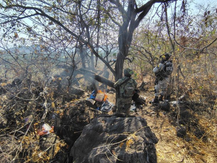 Ahora desactivan 15 artefactos explosivos y destruyen campamento clandestino en Apatzingán