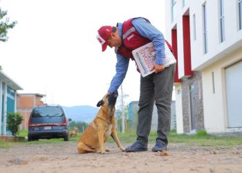 Barragán logra reforma histórica desde ahora la Constitución de Michoacán protege a los animales