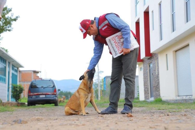 Barragán logra reforma histórica desde ahora la Constitución de Michoacán protege a los animales