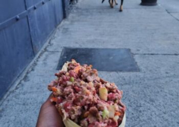 Más de 2 toneladas de alimento y una noche sin crueldad animal con el programa “Pancitas Llenas Navidad 2025 de la asociación civil GHAPAD