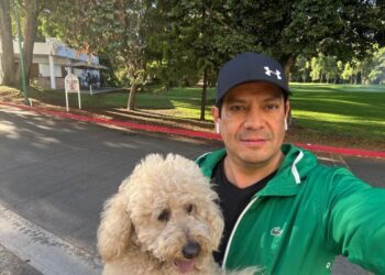 Llama PVEM a evitar regalar mascotas en Día de Reyes