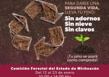 ¡No tires tu arbolito de Navidad! Únete a la campaña de reciclaje de la Cofom