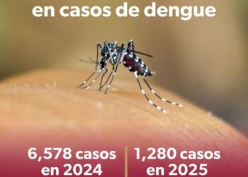 Desciende en un 81 % los casos de dengue en Michoacán