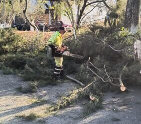 Refuerza Secretaría de Servicios Públicos el cuidado y embellecimiento de espacios públicos de Morelia