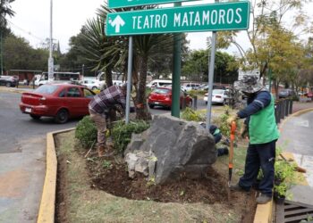 Servicios Públicos municipales embellece la Calzada Juárez