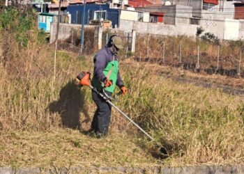 Gobierno de Morelia atiende área verde en Cumbres del Quinceo con jornada integral de mantenimiento