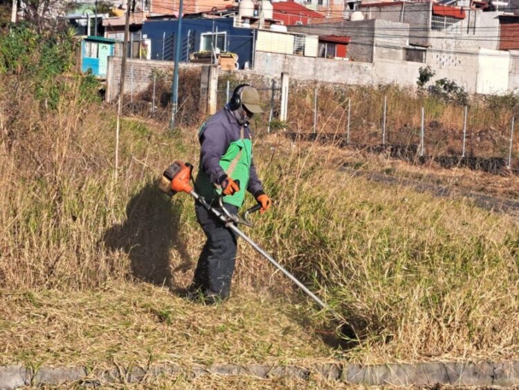 Gobierno de Morelia atiende área verde en Cumbres del Quinceo con jornada integral de mantenimiento