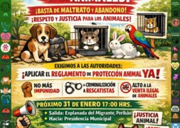 🐾Asociaciones animalistas anuncian marchas pacíficas en distintos municipios de Michoacán
