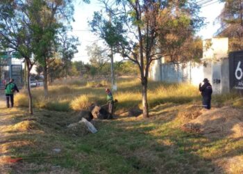 Gobierno Municipal interviene y mejora los espacios públicos de Morelia