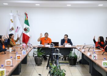 Aprueba IEM Dictamen de Evaluación del Servicio Profesional Electoral Nacional