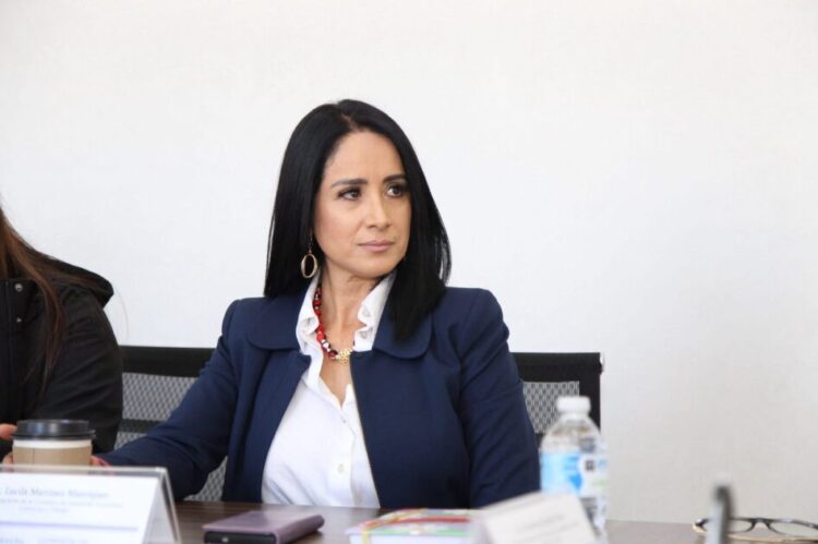 Lucila Martínez Manríquez llama a revisar manejo de colonia felina en el Panteón Municipal