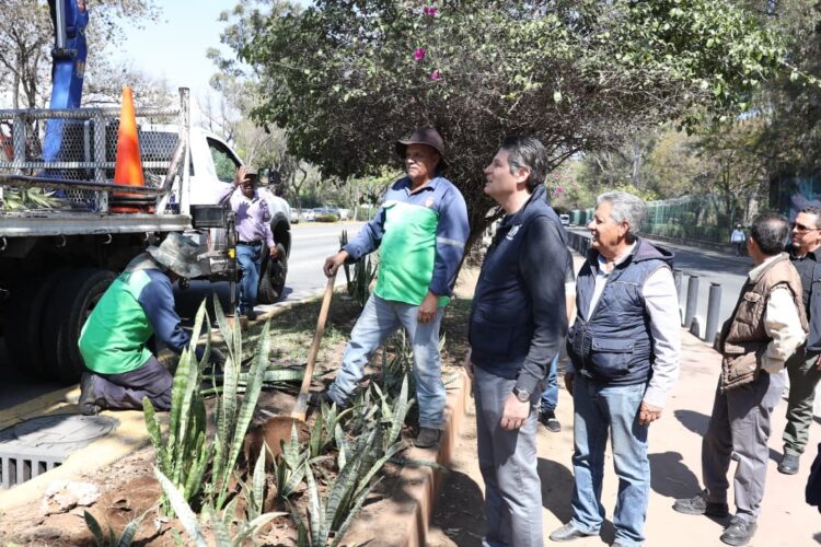 Supervisa Alfonso Martínez jornada integral de limpieza y reparación en la Calzada Juárez