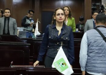 Celebra Sandra Arreola entrada en vigor reforma que permite libre acceso a personas con discapacidad con animales de asistencia