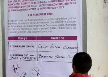 Acompaña el IEM consultas por manzana en la comunidad indígena de Donaciano Ojeda