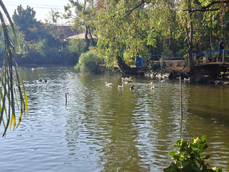 Implementa Ayuntamiento de Morelia acciones de cuidado y protección de fauna en el Bosque Cuauhtémoc