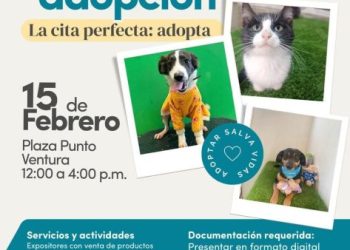 El Impa invita a la 2ª Jornada de Adopción, este fin de semana*
