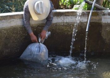 Con apoyo del Gobierno de Morelia, productores piscícolas se preparan para la cuaresma