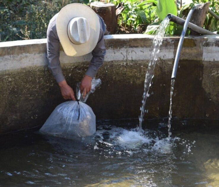 Con apoyo del Gobierno de Morelia, productores piscícolas se preparan para la cuaresma