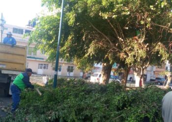 Gobierno Municipal da limpieza y mantenimiento a áreas verdes de Morelia