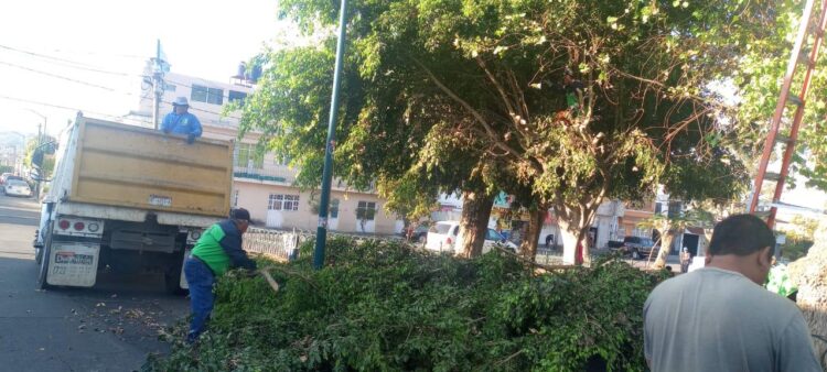 Gobierno Municipal da limpieza y mantenimiento a áreas verdes de Morelia