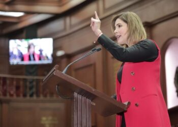 Es urgente robustecer jurídicamente medidas cautelares; propone Diputada Brissa Arroyo