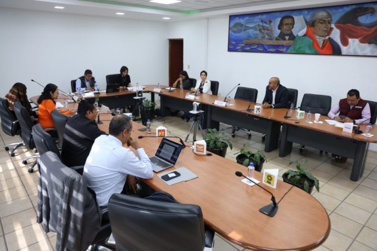Presenta el IEM informe sobre solicitudes para constituir Agrupaciones Políticas Estatales en Michoacán