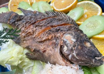 Recomendaciones para el manejo y descongelación segura de mariscos