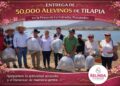 Entrega de crías de tilapia fortalece la producción Acuícola: Belinda Iturbide