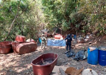 Desactivan laboratorio de droga y campamento clandestino en Arteaga