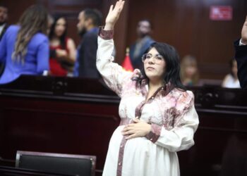 Vanhe Caratachea presenta iniciativa para proteger de violencia de género a madres jefas de familia