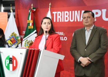 México necesita defensores que no sean ametrallados por el oficialismo: PRI