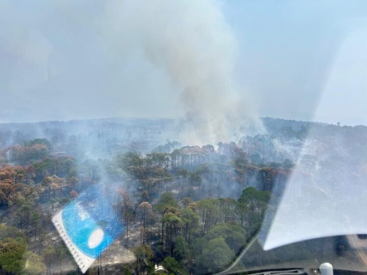 Un helicóptero y más de 100 brigadistas logran controlar el 90 % del incendio forestal en el Área Natural Protegida de Tzitzio y sur de Morelia