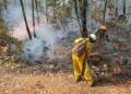 Sigue vivo en un 5 por ciento el incendio del Área Natural Protegida de Tzitzio, el resto está controlado