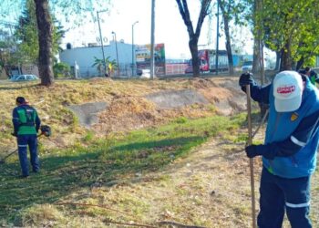 Gobierno de Morelia trabaja por una ciudad más verde y ordenada