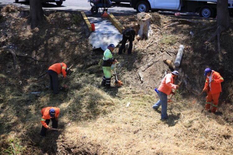 Gobierno de Morelia interviene áreas verdes y espacios públicos del Río Chiquito y Bulevar García de León