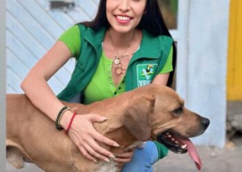 PVEM Michoacán, a través de su Secretaría de Medio Ambiente, llama a reforzar el cuidado animal por temporada de calor