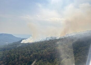 Avanza incendio forestal en Salvador Escalante; viento agrava daños y pone en riesgo zonas altas