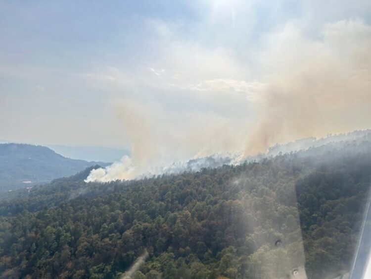 Avanza incendio forestal en Salvador Escalante; viento agrava daños y pone en riesgo zonas altas