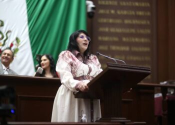 Que niñas, niños y adolescentes mantengan contacto con seres queridos que no tengan la custodia: Vanhe Caratachea