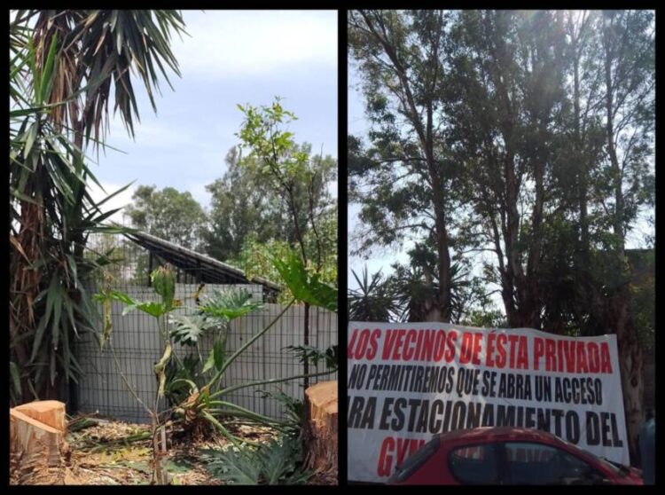 Denuncian acciones irregulares en el gimnasio Seven Days