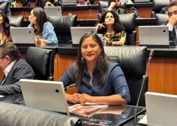 Avanza en Michoacán reforma constitucional contra el feminicidio impulsada desde el Senado: Celeste Ascencio