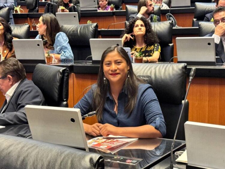Avanza en Michoacán reforma constitucional contra el feminicidio impulsada desde el Senado: Celeste Ascencio