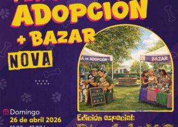 🐾Este domingo, michis y lomitos de La Casita de Frijol y MISITU te esperan: adopta un peludo en feria