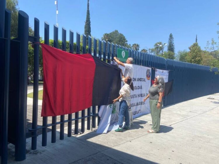 No estamos derrotados, la huelga en la UMSNH continúa y el SUEUM espera una pronta resolución a impugnaciones: Tena Flores