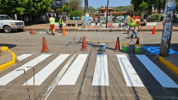 CEBRAS de SEDUM llevan acciones de balizamiento a tenencias de Morelia