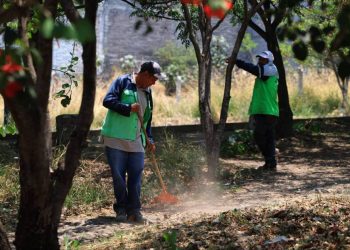 Gobierno de Morelia encabeza poda y mantenimiento de espacios para la ciudadanía