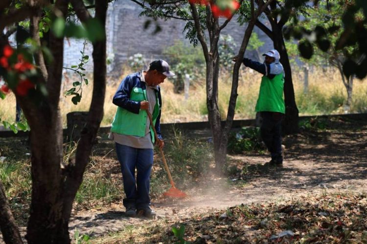 Gobierno de Morelia encabeza poda y mantenimiento de espacios para la ciudadanía
