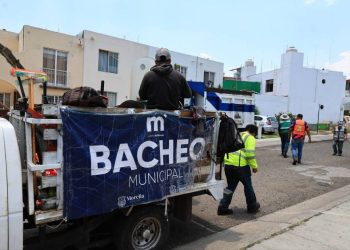 Gobierno de Morelia avanza en mantenimiento urbano y limpieza de áreas verdes de la ciudad